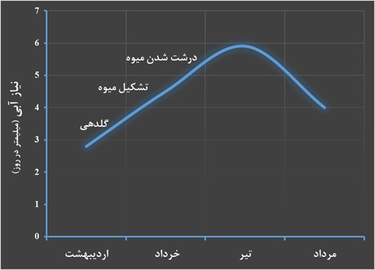 نیاز آبی گوجه فرنگی