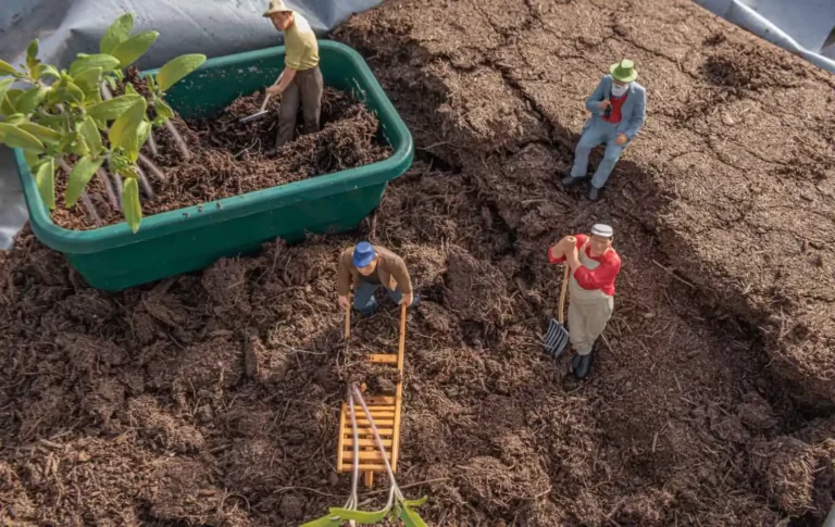 https://pixabay.com/photos/toy-gardening-miniature-figures-4892089/