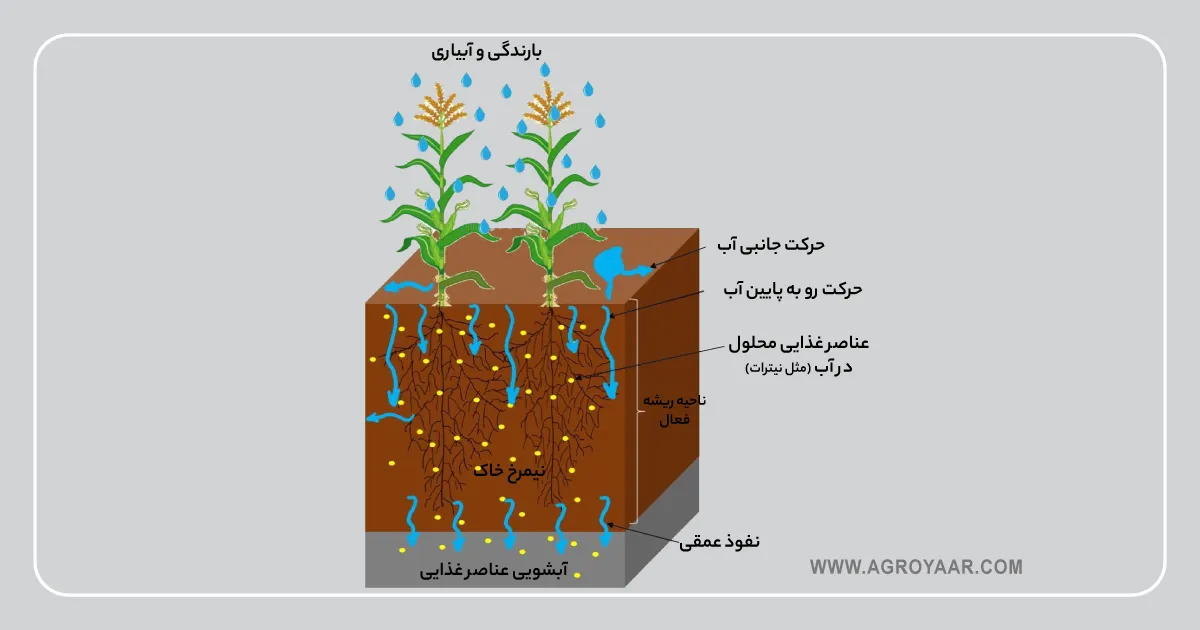 اثر بارندگی و آبیاری بر آبشویی