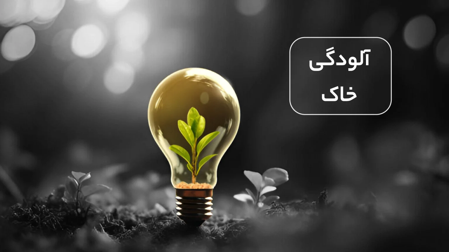 آلودگی خاک‌های کشاورزی