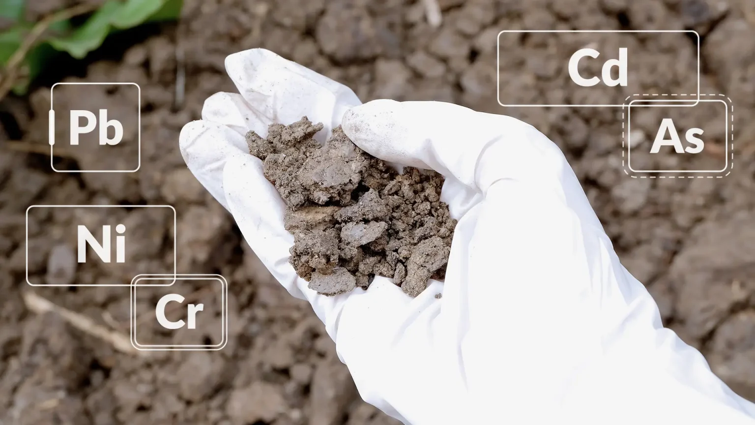 فلزات سنگین در کشاورزی https://greenhandsgardening.com/soil-and-container-contamination/