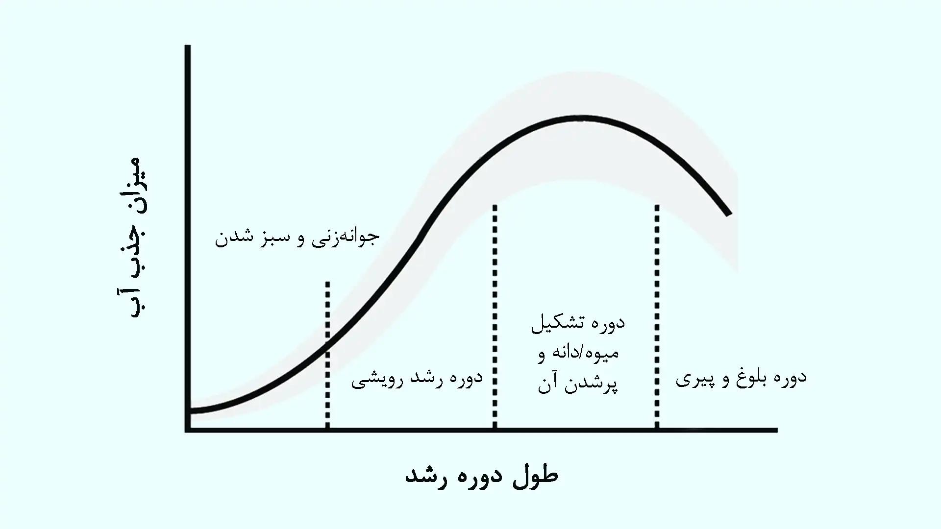 الگوی جذب آب گیاهان زراعی در طول دوره رشد