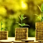 مدیریت هزینه‌ها در مزرعه؛ راهی برای بهبود بهره‌وری کشاورزی