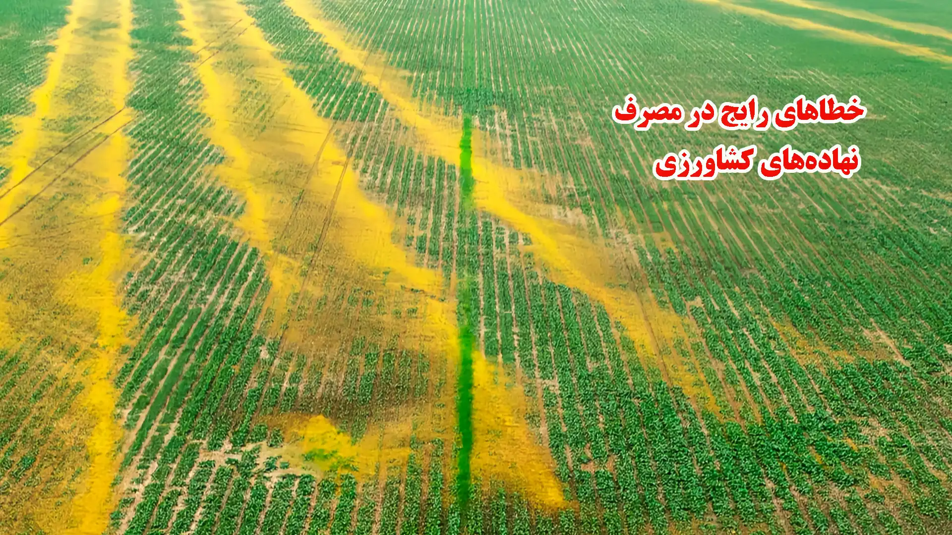 خطاهای رایج کشاورزان در مصرف نهاده‌ها