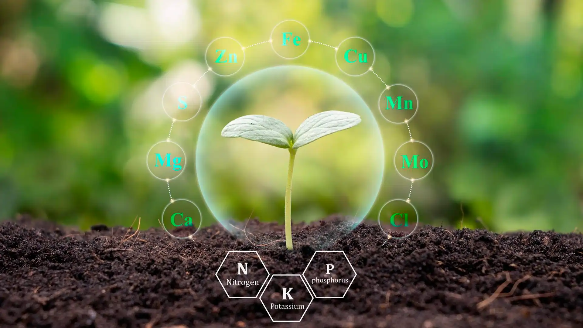 مدیریت کوددهی براساس آزمایش خاک