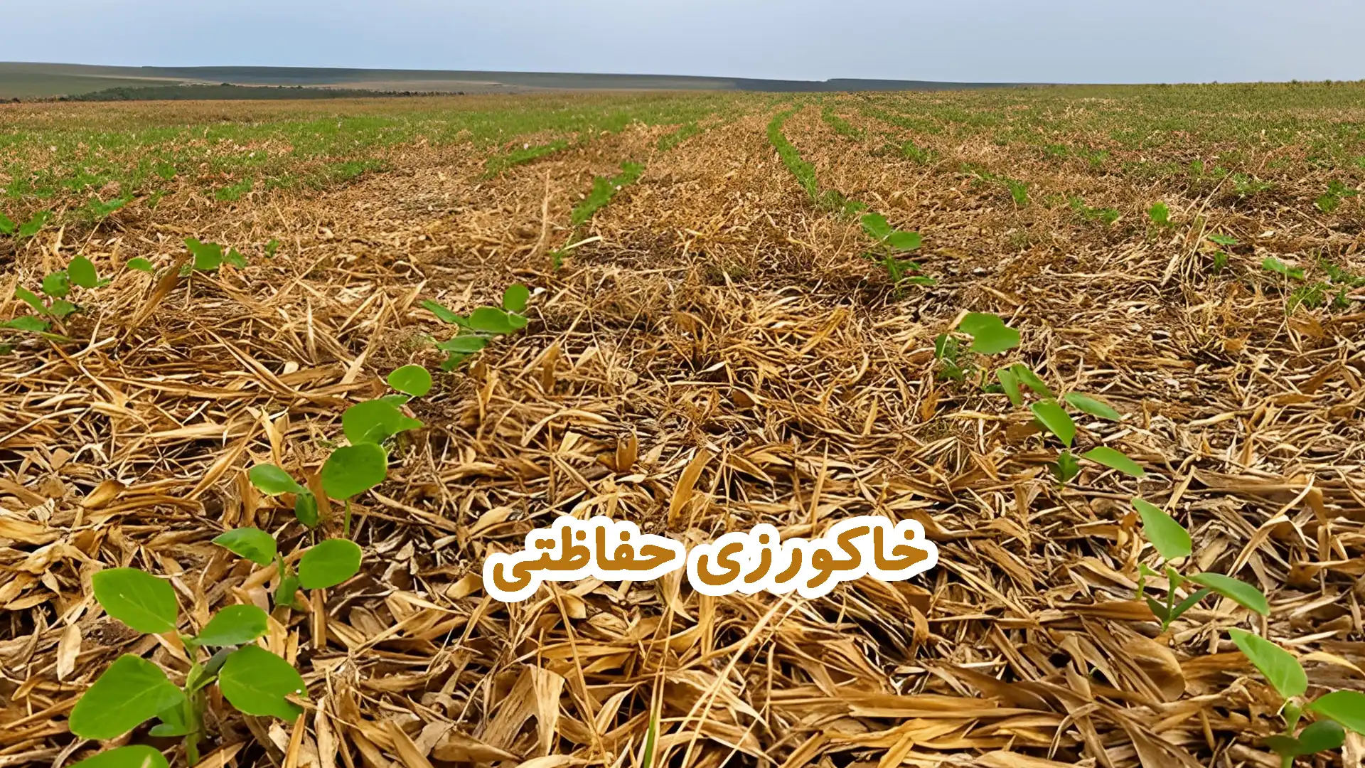 خاکورزی حفاظتی