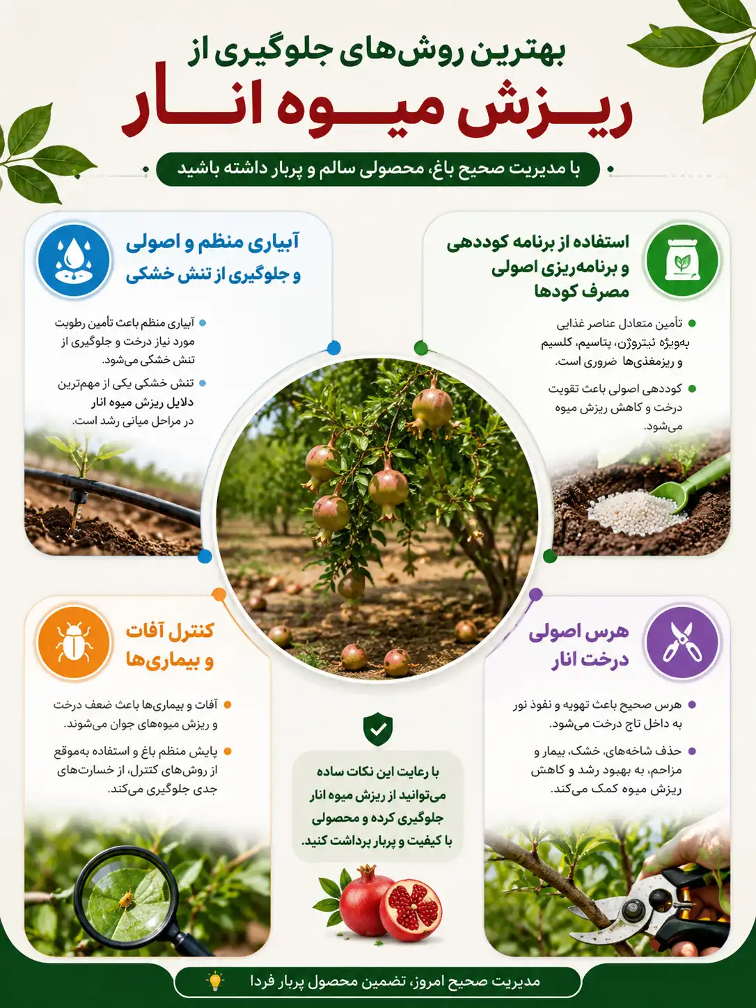 managing pomegranate fruit abscission