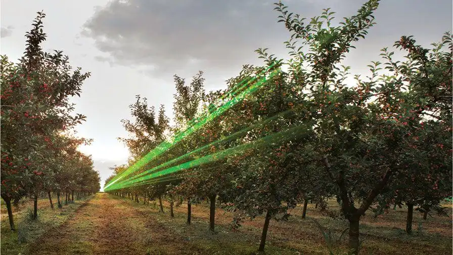 Laser in the orchard