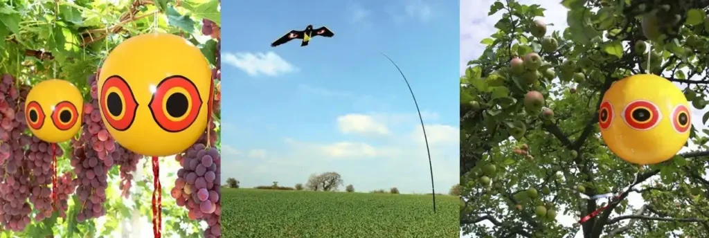 Balloons and Inflatable Devices for Bird Deterrence