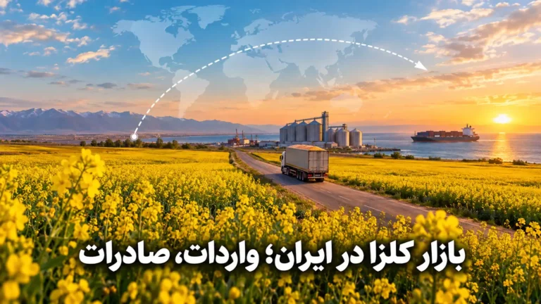 مسیر صادرات و واردات کلزا
