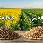 مقایسه دو منبع پروتئین: کنجاله کلزا یا کنجاله سویا؟